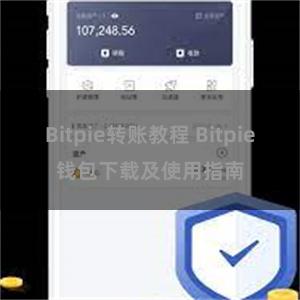 Bitpie转账教程 Bitpie钱包下载及使用指南