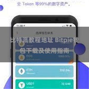 比特派教程地址 Bitpie钱包下载及使用指南