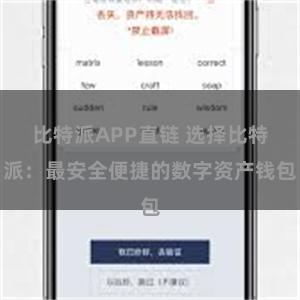 比特派APP直链 选择比特派：最安全便捷的数字资产钱包