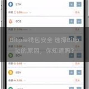 Bitpie钱包安全 选择Bitpie的原因，你知道吗？