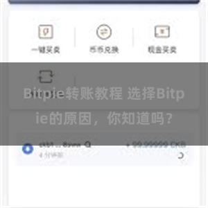 Bitpie转账教程 选择Bitpie的原因，你知道吗？