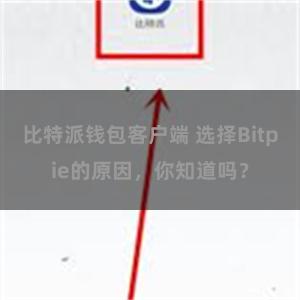 比特派钱包客户端 选择Bitpie的原因，你知道吗？