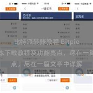 比特派转账教程 Bitpie钱包最新版本下载教程及功能亮点，尽在一篇文章中详解