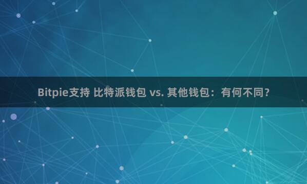 Bitpie支持 比特派钱包 vs. 其他钱包：有何不同？