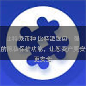 比特派币种 比特派钱包：强大的隐私保护功能，让您资产更安全