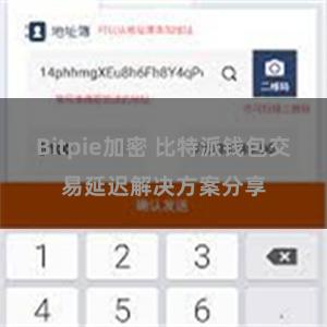 Bitpie加密 比特派钱包交易延迟解决方案分享