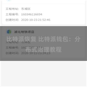 比特派恢复 比特派钱包：分布式治理教程