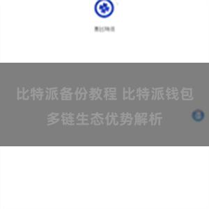 比特派备份教程 比特派钱包多链生态优势解析