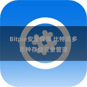 Bitpie安全保障 比特派多币种存储安全管理