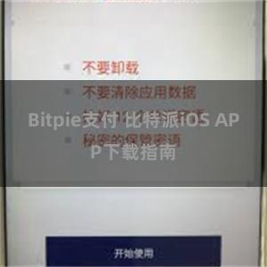 Bitpie支付 比特派iOS APP下载指南