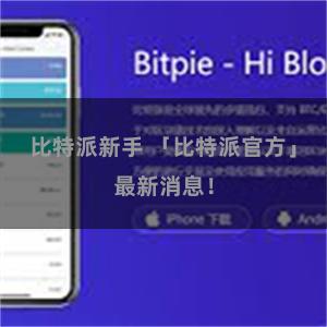比特派新手 「比特派官方」最新消息！