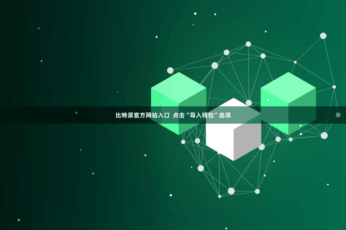 比特派官方网站入口  点击“导入钱包”选项